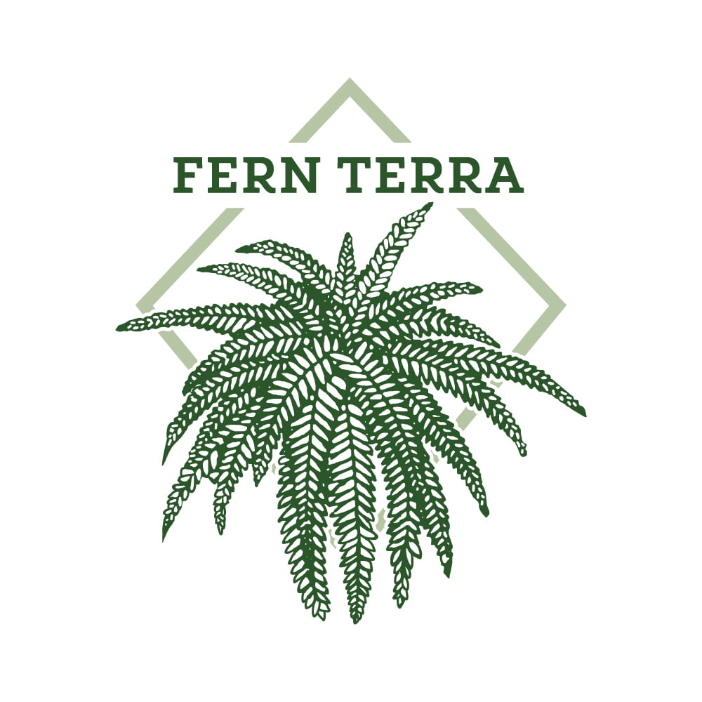 Fern Terra 22
